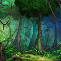 selva_bg